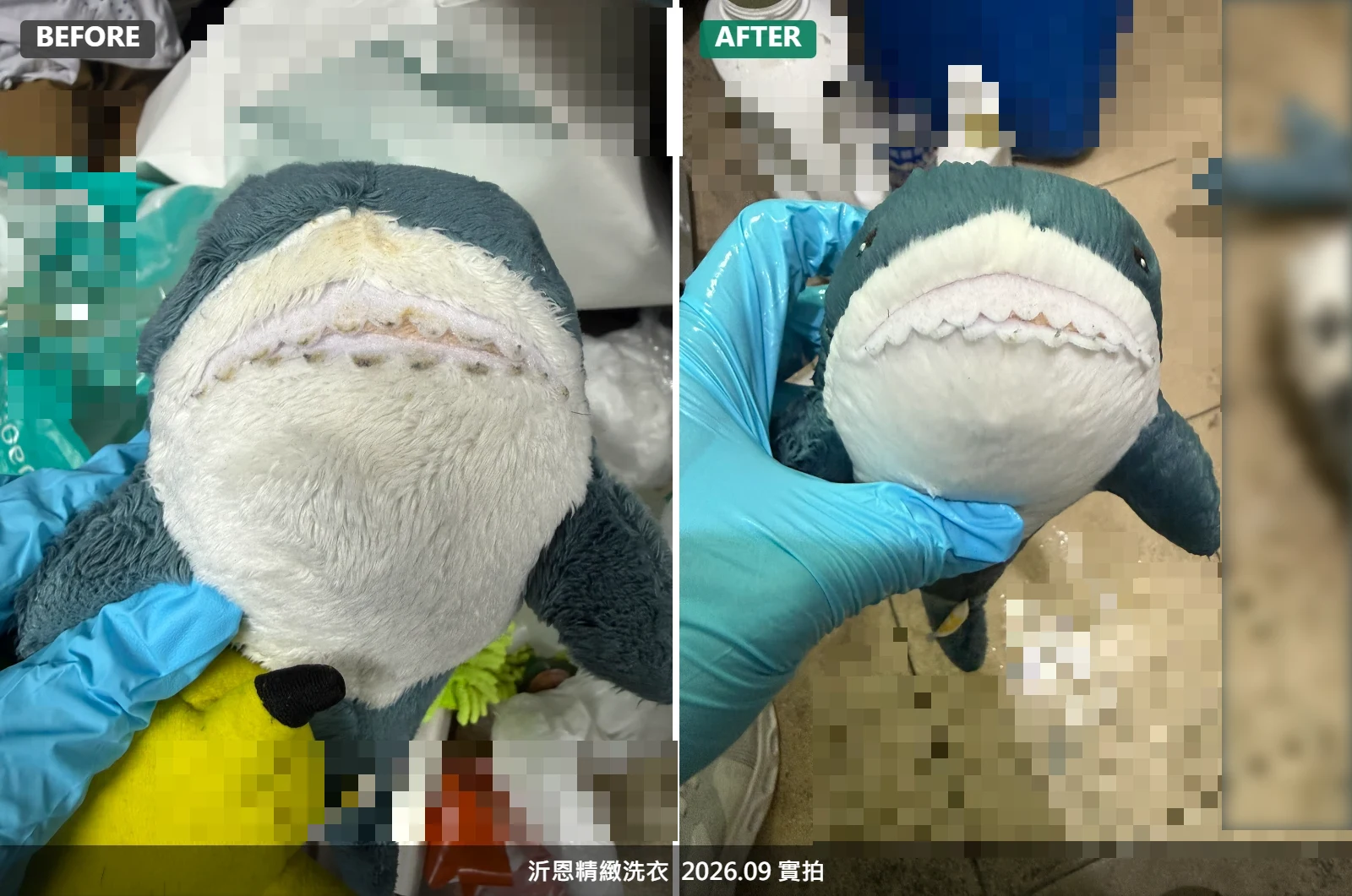 幫鯨魚娃娃刷牙
