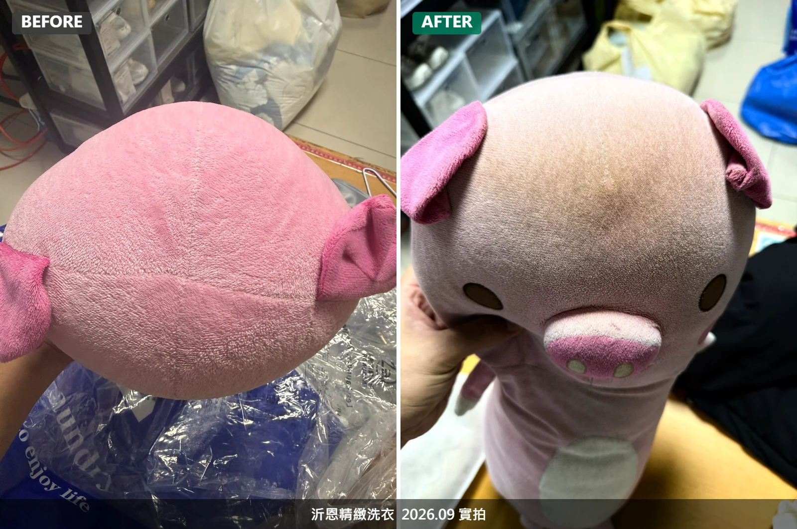 布偶送洗